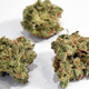 Image for article titled Legal Medical Weed Hasn't Led to More Teen Stoners